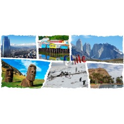 Tazón 03 - Suvenir de Chile