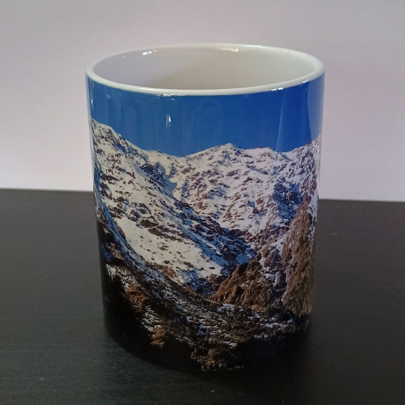 Tazón 05 - Suvenir Chile