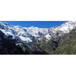 Tazón 05 - Suvenir Chile