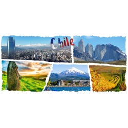 Tazón 02 - Suvenir de Chile